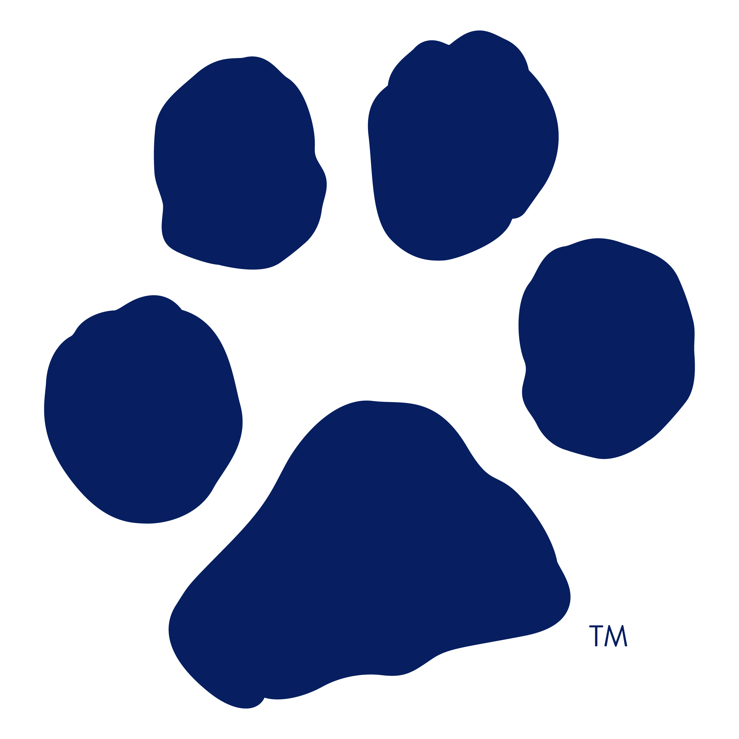 Chaser's Single Color Paw