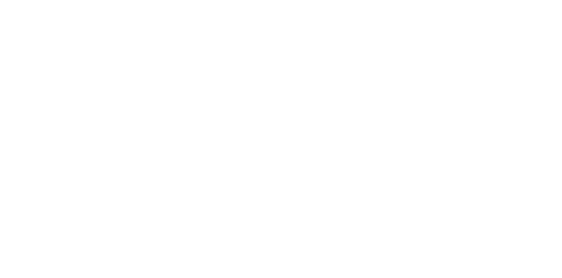 The Boon Project Logo