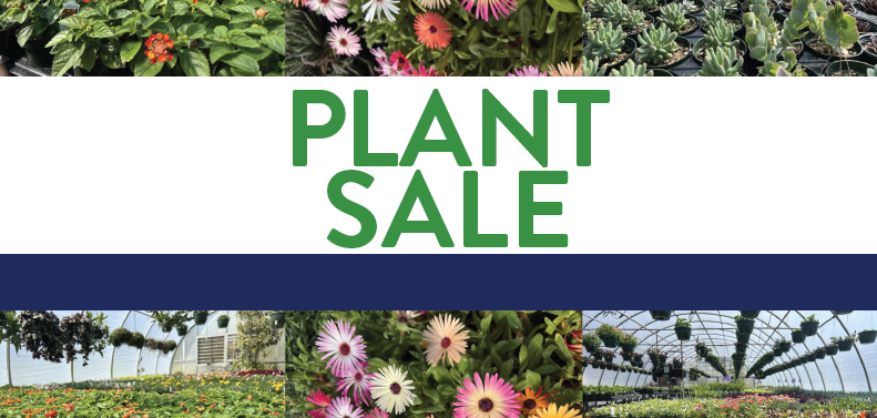 Promotional banner for a plant sale featuring colorful greenhouse plants, flowers, succulents, and hanging baskets. Large green text reading “PLANT SALE” is centered on a light gray background, with photos of blooming flowers and greenhouse displays arranged along the top and bottom edges.
